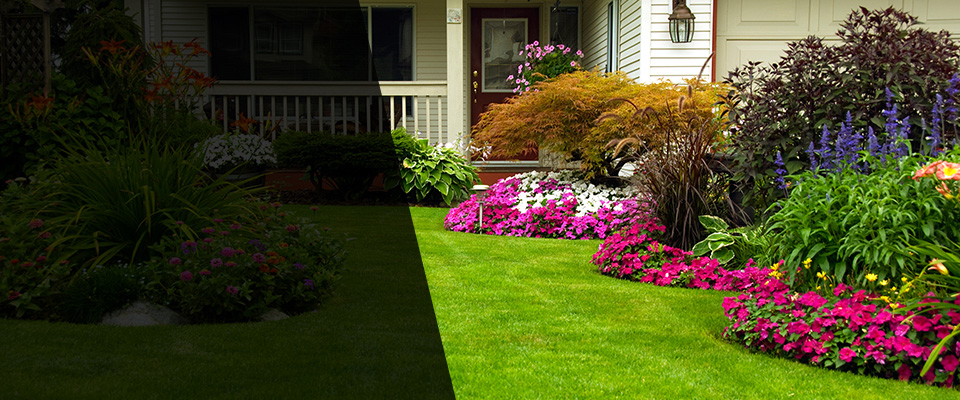Wimauma Landscapers
