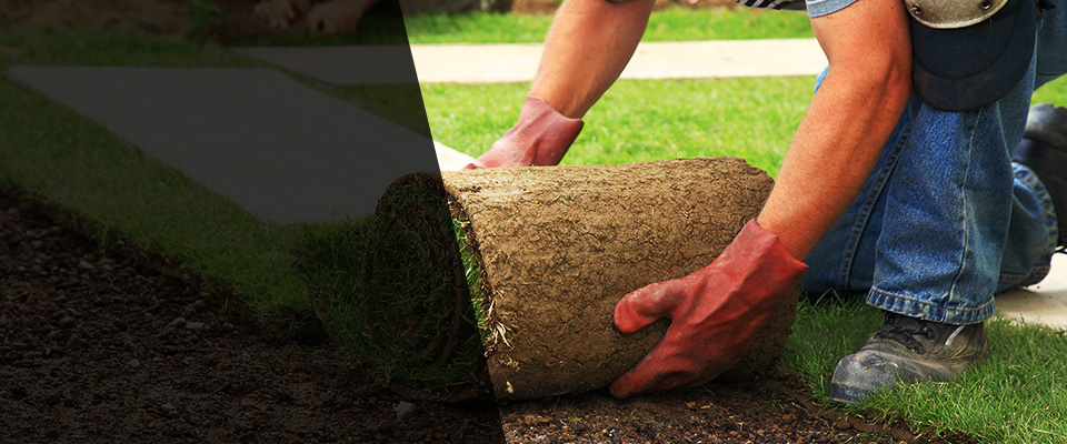 Wimauma Landscapers